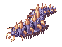 Centipede